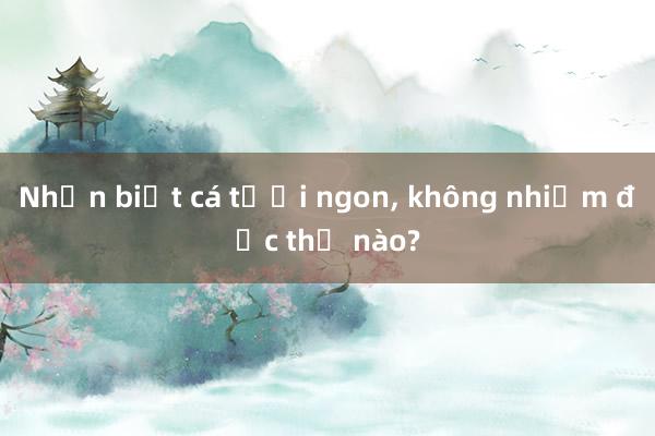 Nhận biết cá tươi ngon， không nhiễm độc thế nào?