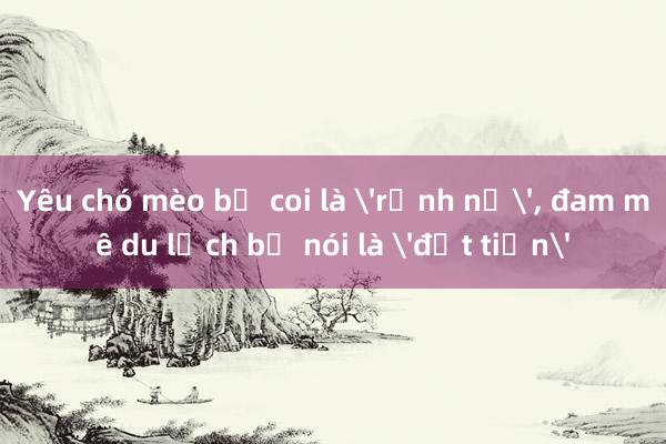 Yêu chó mèo bị coi là 'rảnh nợ'， đam mê du lịch bị nói là 'đốt tiền'