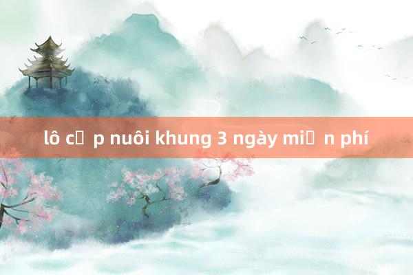 lô cặp nuôi khung 3 ngày miễn phí