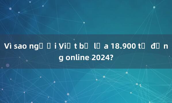 Vì sao người Việt bị lừa 18.900 tỷ đồng online 2024?