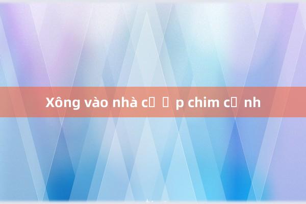 Xông vào nhà cướp chim cảnh