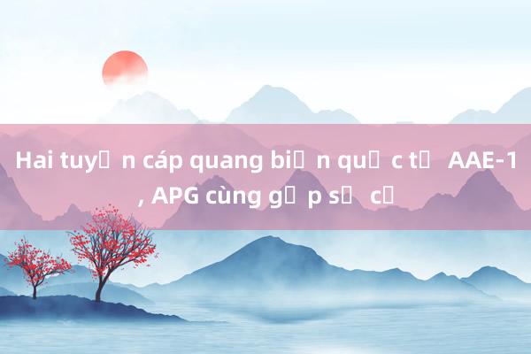 Hai tuyến cáp quang biển quốc tế AAE-1， APG cùng gặp sự cố