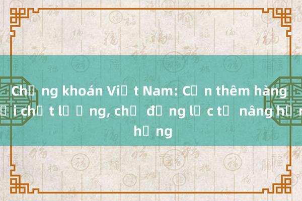 Chứng khoán Việt Nam: Cần thêm hàng mới chất lượng， chờ động lực từ nâng hạng