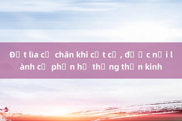 Đứt lìa cổ chân khi cắt cỏ， được nối lành cả phần hệ thống thần kinh