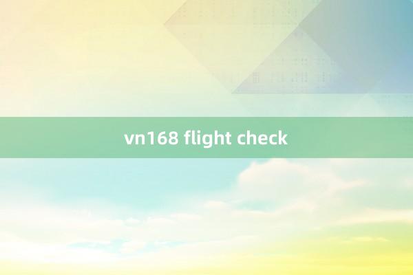 vn168 flight check