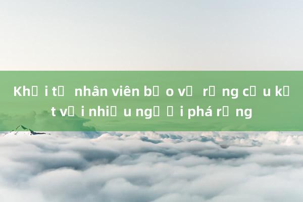 Khởi tố nhân viên bảo vệ rừng cấu kết với nhiều người phá rừng