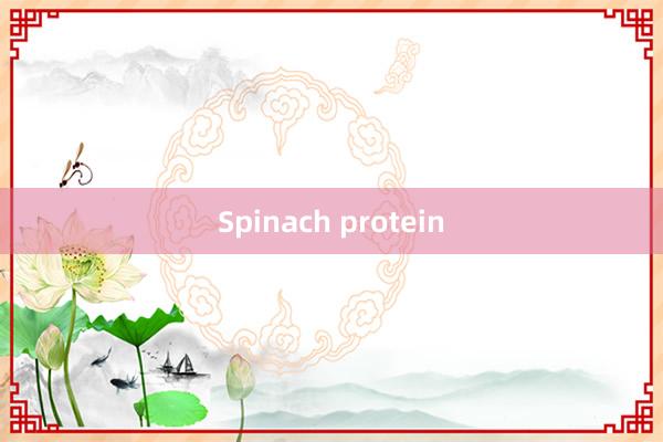 Spinach protein