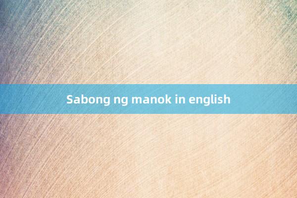 Sabong ng manok in english