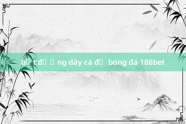 bắt đường dây cá độ bóng đá 188bet