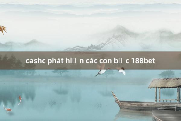 cashc phát hiện các con bạc 188bet