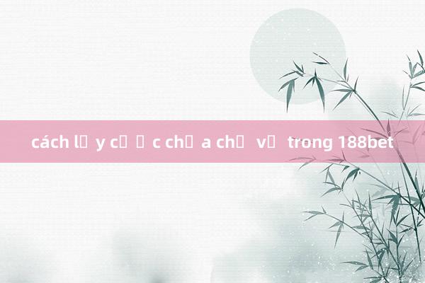 cách lấy cược chưa chả về trong 188bet