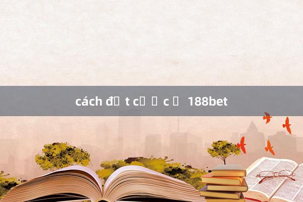 cách đặt cược ỏ 188bet