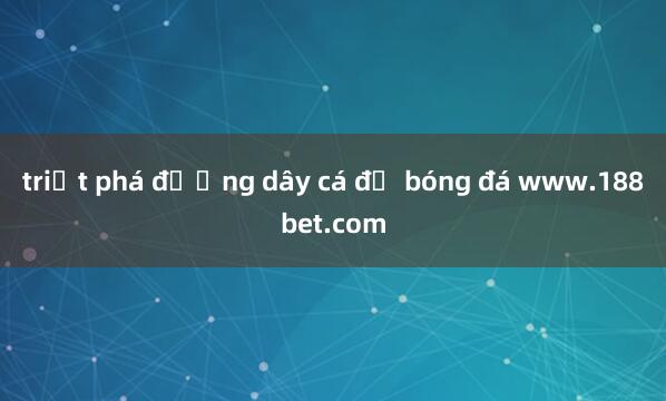 triệt phá đường dây cá độ bóng đá www.188bet.com