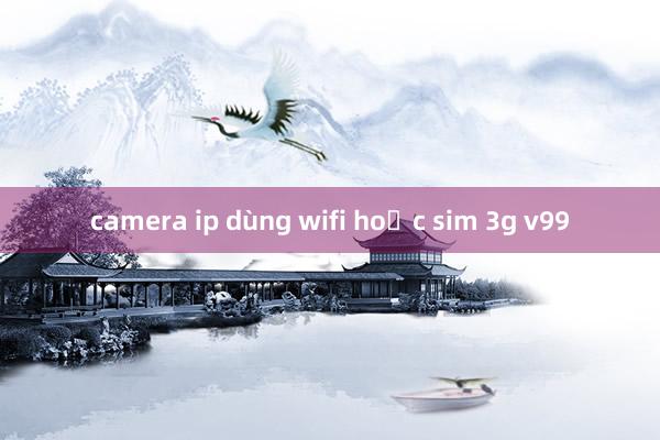 camera ip dùng wifi hoặc sim 3g v99