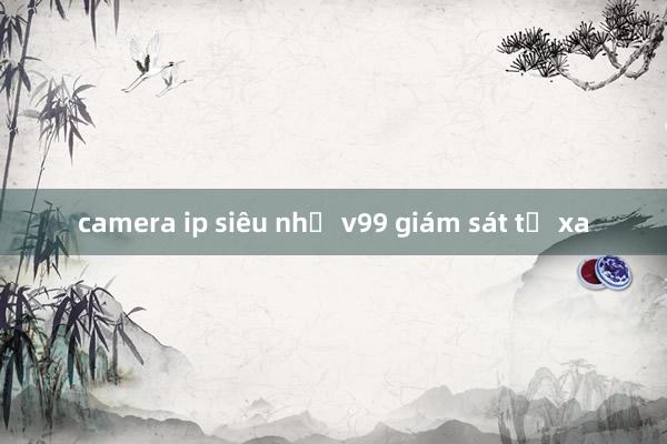 camera ip siêu nhỏ v99 giám sát từ xa