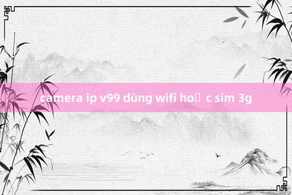 camera ip v99 dùng wifi hoặc sim 3g